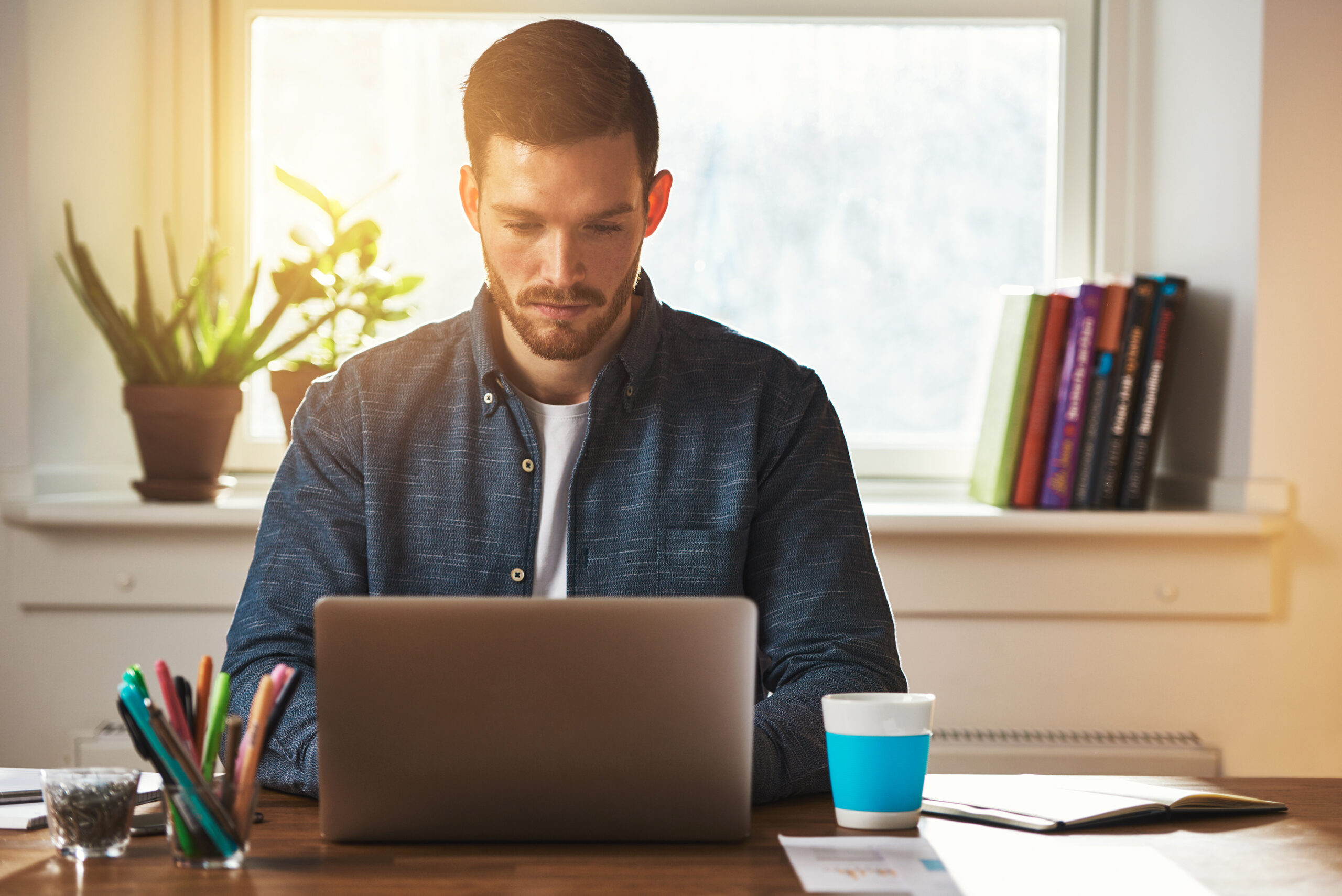 Entrepreneur Working